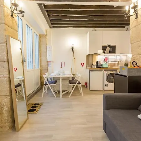 Beautiful In Louvre Museum Apartament